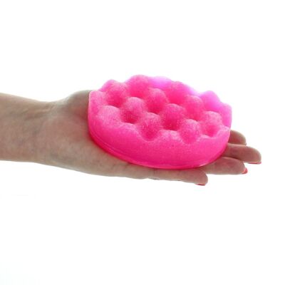Pink Pixie Soap Sponge