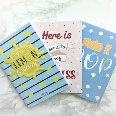 A5 Notebooks set (3 notebooks)