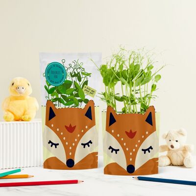 Freckles Fox Carte de vœux cultivable durable Cadeau de graines