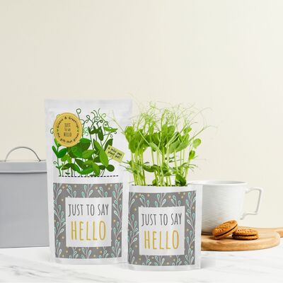 Just to Say Hello Eco Growable Greetings Card & Seed Gift
