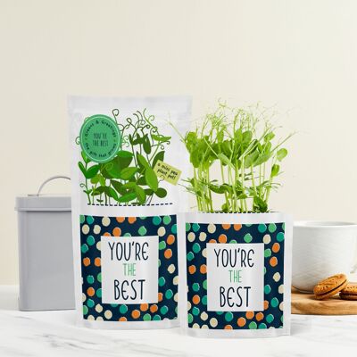 You're The Best Growable Sustainable Greeting Card Eco Gift