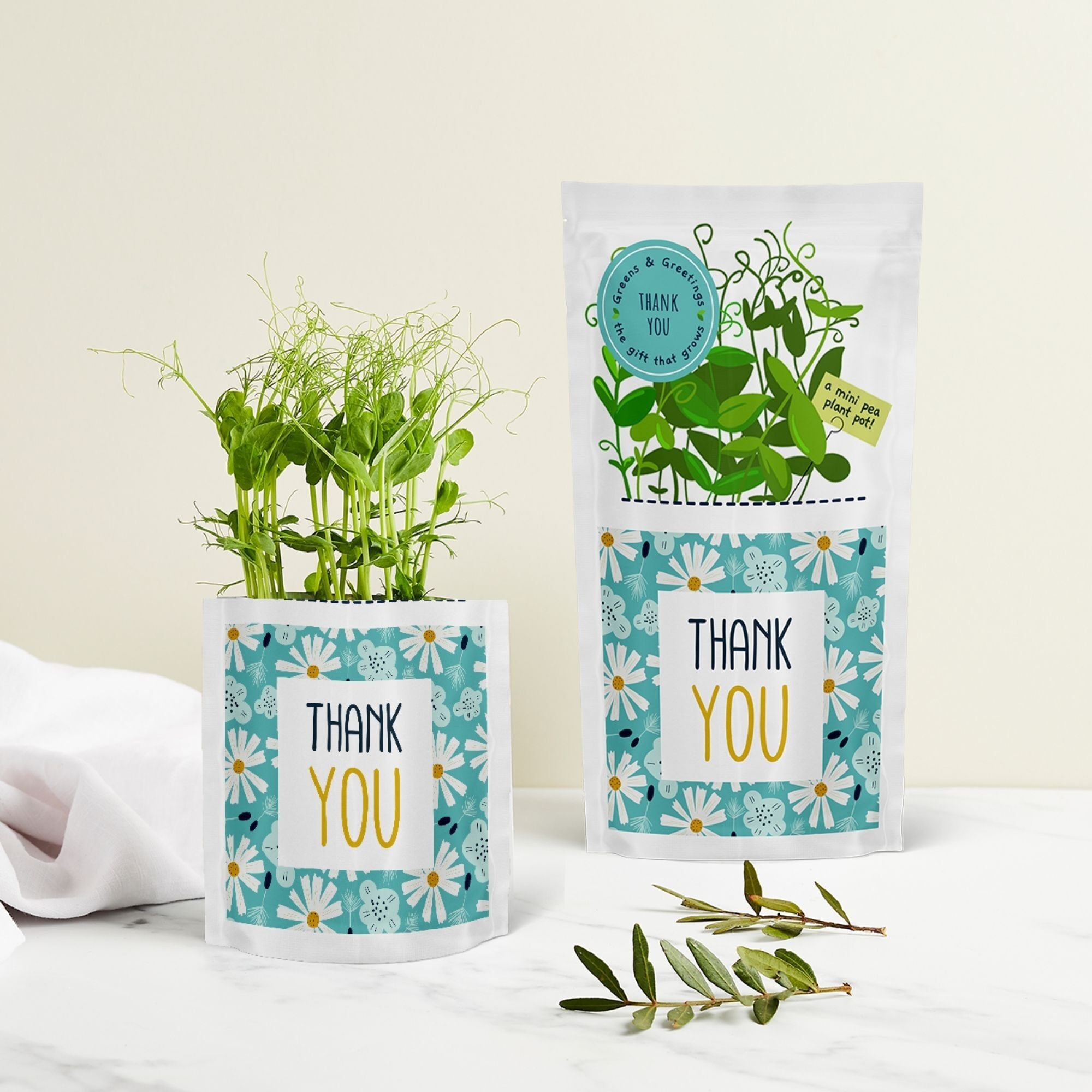 Thank You Sustainable Growable Eco-friendly Card & Seed Gift