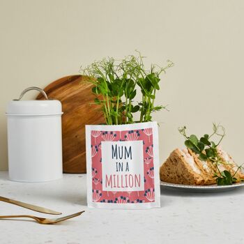 Carte et cadeau Maman dans un million – Greens & Greetings 3