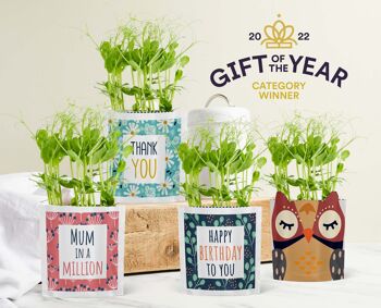 Carte et cadeau Maman dans un million – Greens & Greetings 5