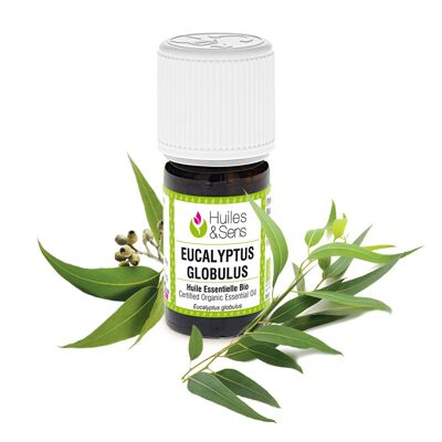 eucalyptus globulus olio essenziale (bio) -5 ml