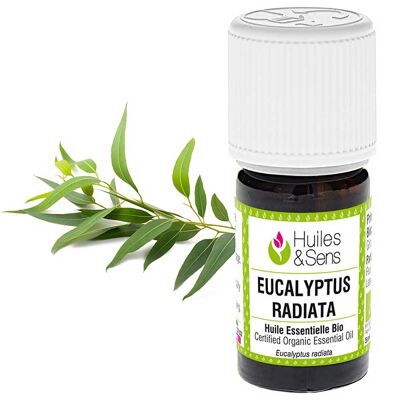 huile essentielle eucalyptus radiata (bio)-30 ml