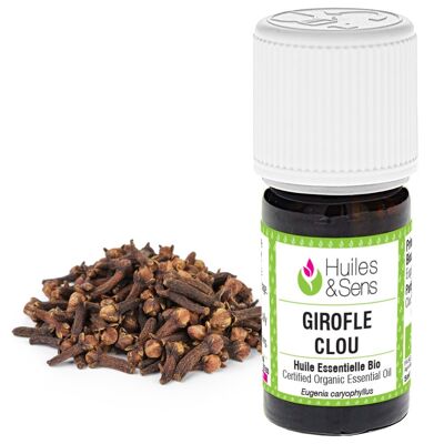 clove essential oil (organic) - 15 ml