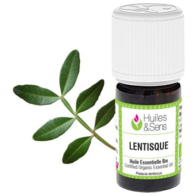 huile essentielle lentisque pistachier (bio)-5 ml