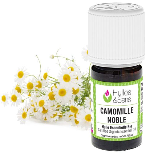 huile essentielle camomille noble (bio)-5 ml