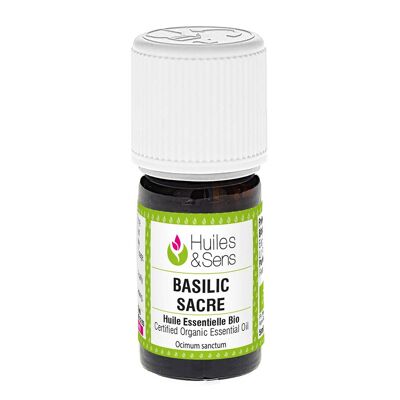 Olio essenziale di basilico santo (bio) -5 ml