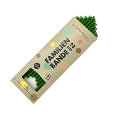 10 cannucce in vetro colorato (verde) "Legami di famiglia" (23 cm) + spazzolino per la pulizia
