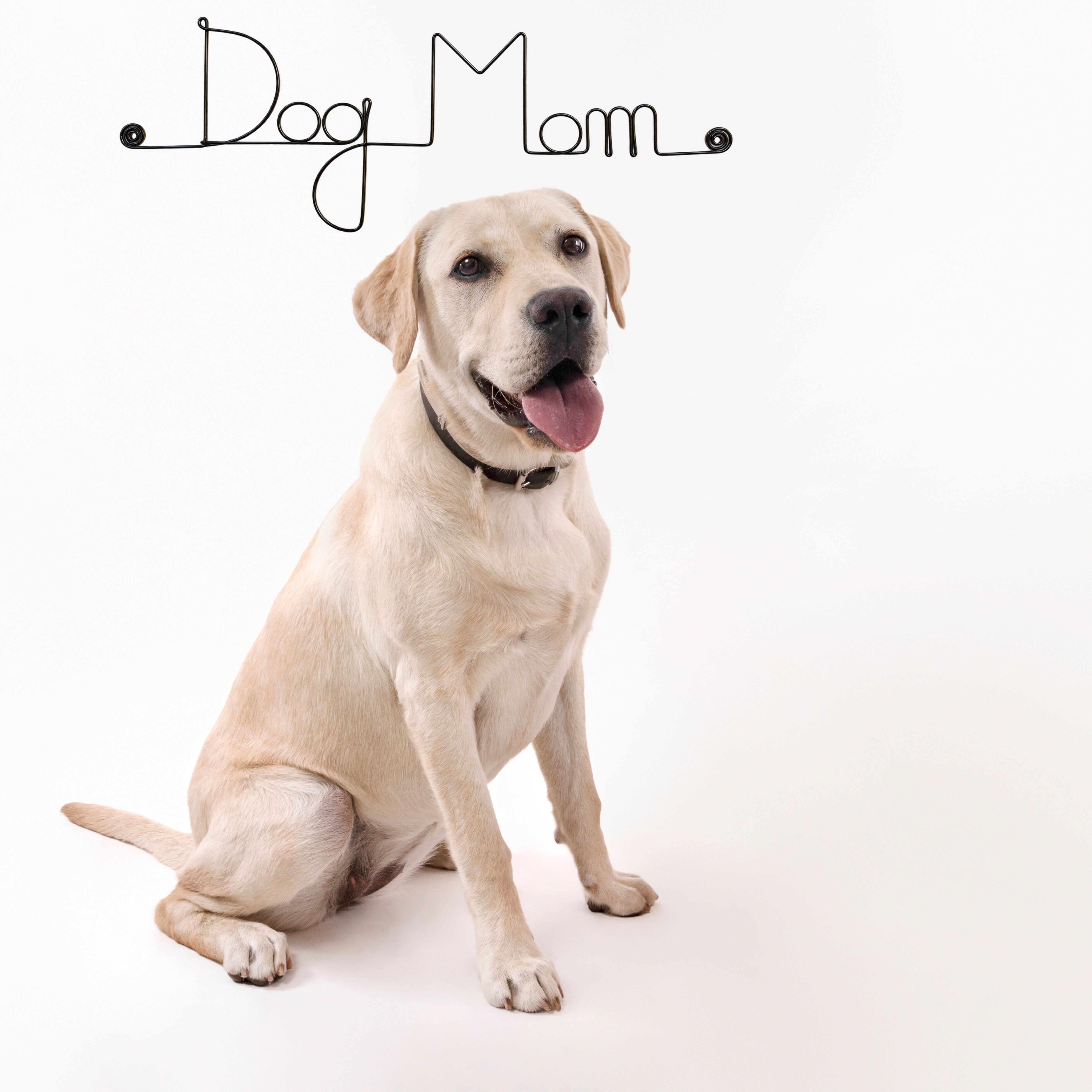 "Dog" Wire Wall Decoration - Pin-up Wall Art