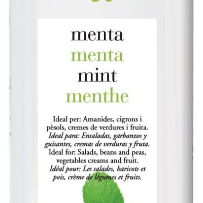 Condiment Olicatessen& Mint Bio 0,250L