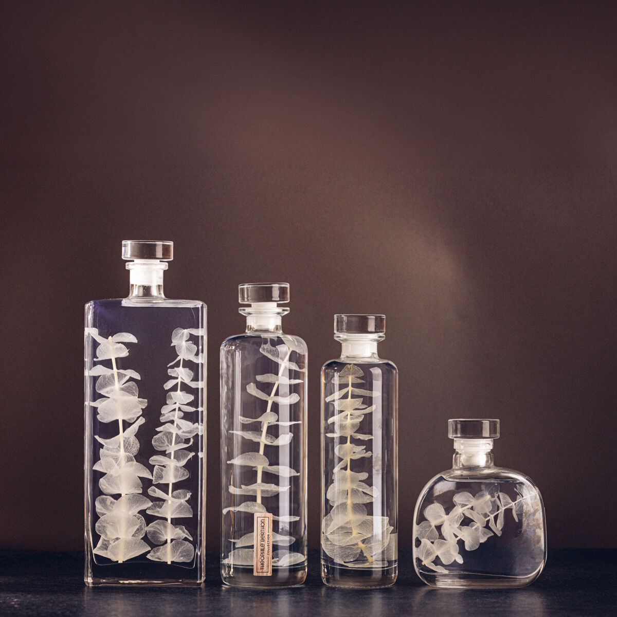 L’Herbarium de Théophile – Collection capsule – Eucalyptus blanc – Plante immergée