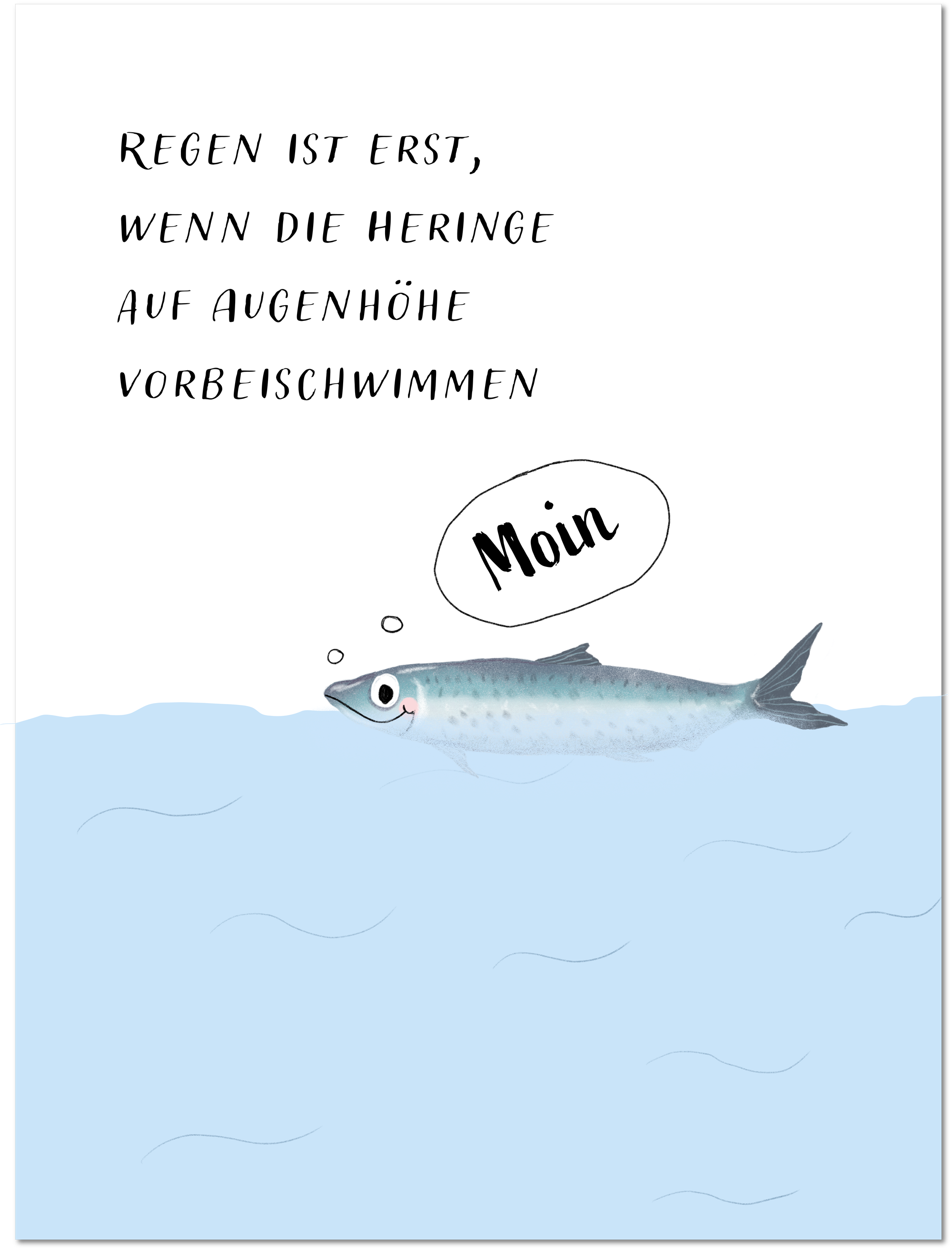 Heringe auf Augenhöhe