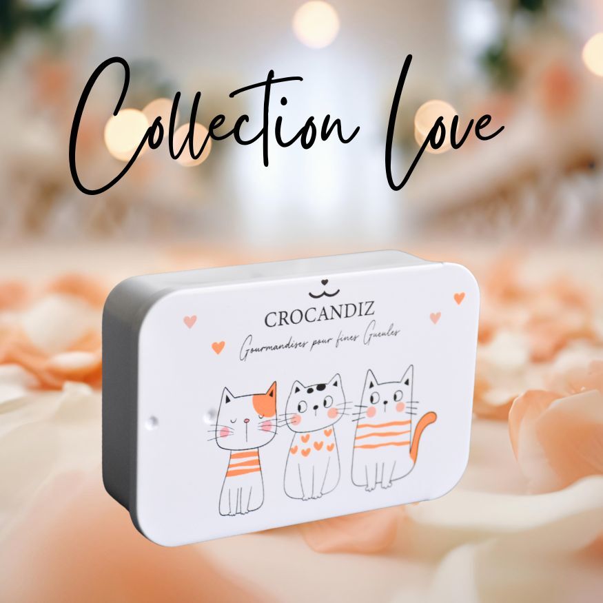 Cat treat box