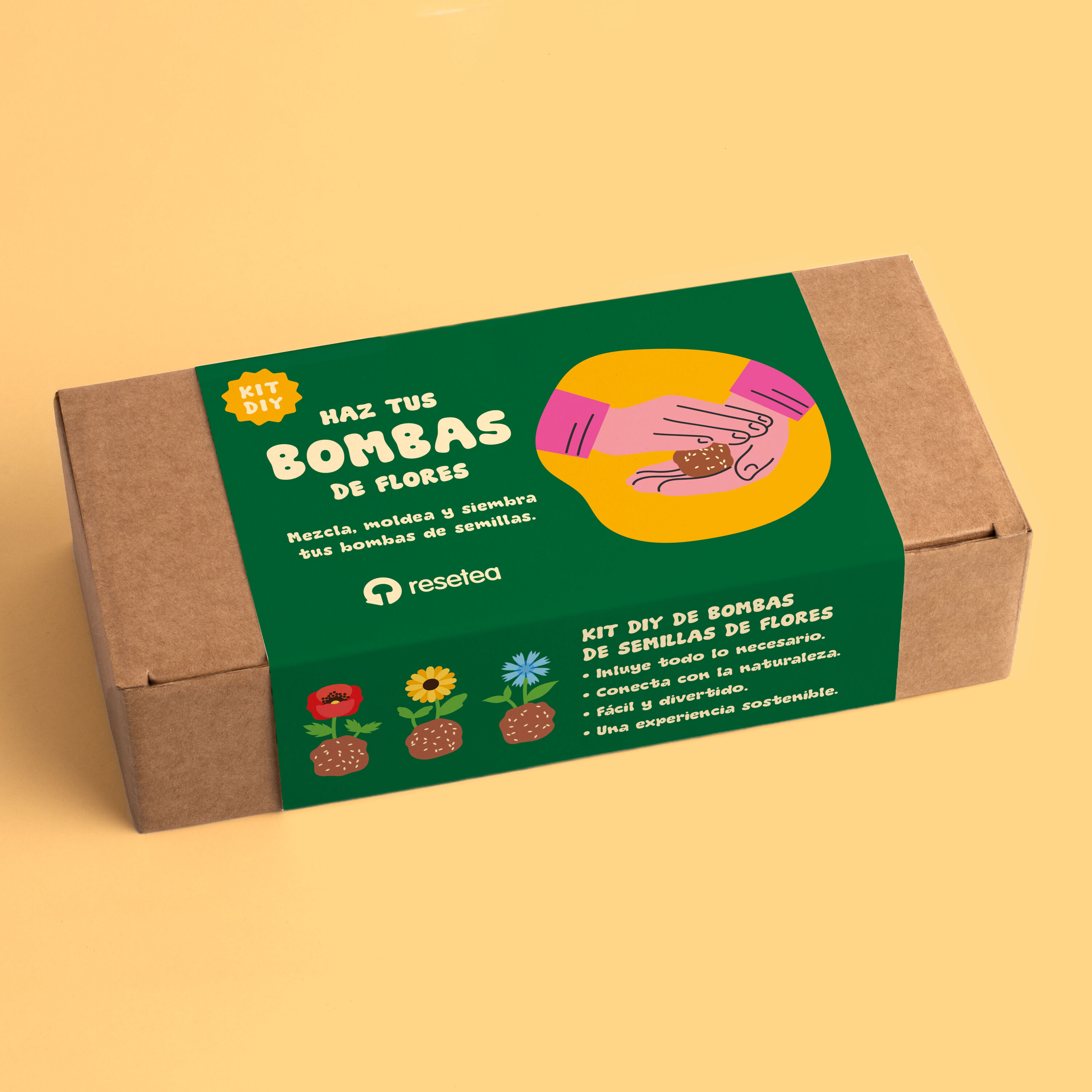 Kit de bombe à graines de fleurs à faire soi-même