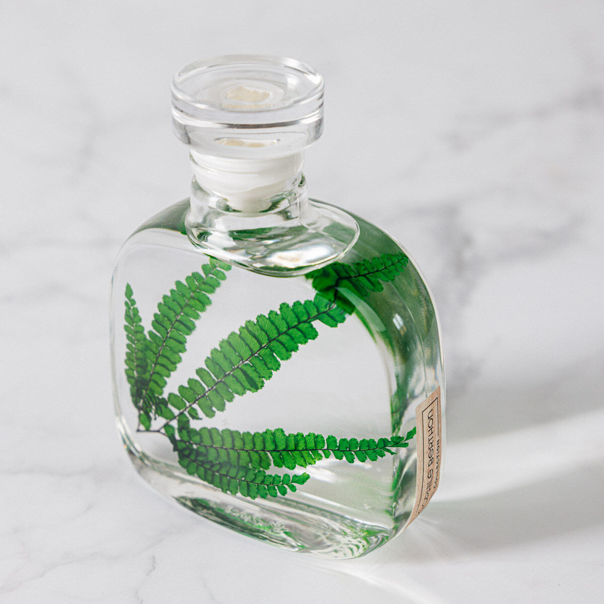 L’Herbarium de Théophile – Collection capsule – Felci verte – Plante immergée