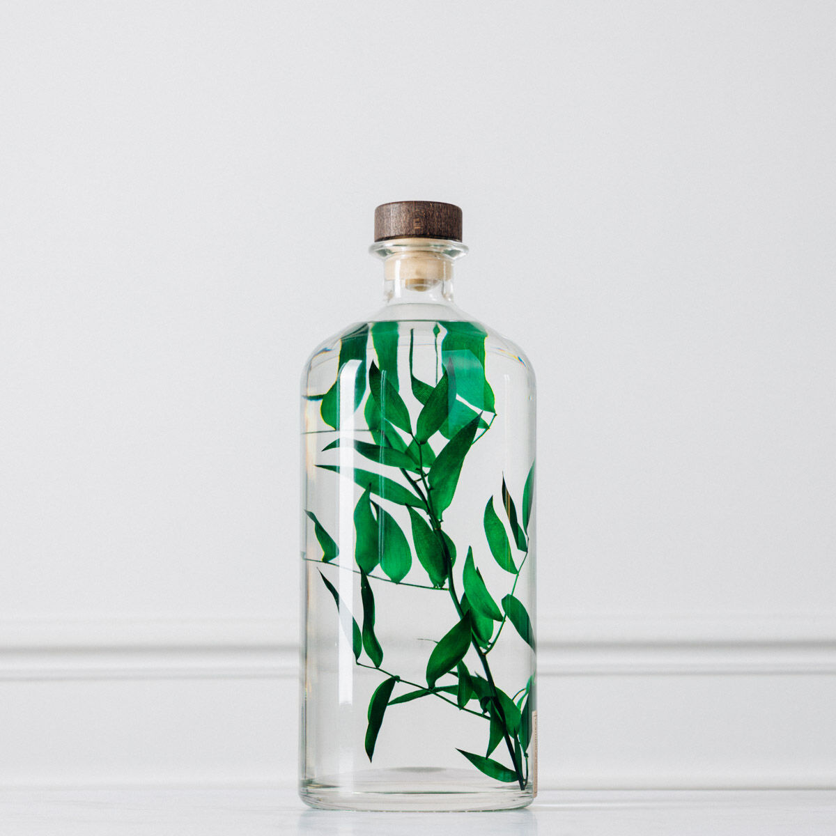 L'Herbarium de Théophile – Format XL Ruscus vert Jarre 3 Litres - Plante immergée