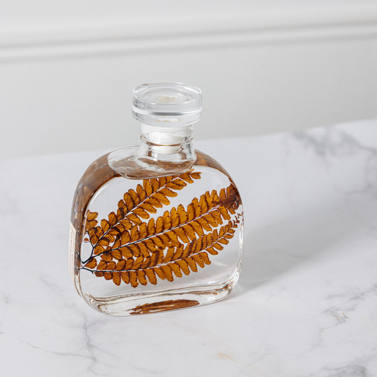 L’Herbarium de Théophile – Collection capsule – Felci ambre – Plante immergée