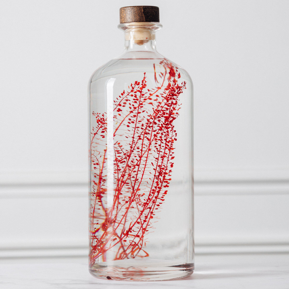 L'Herbarium de Théophile – Format XL Lepidium rouge Jarre 3 Litres - Plante immergée