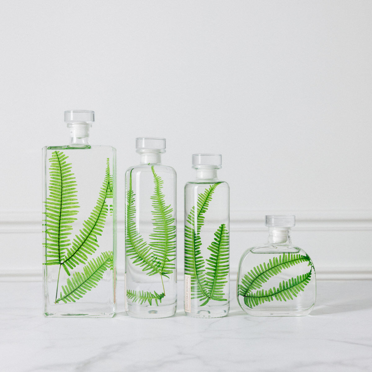 L’Herbarium de Théophile – Collection capsule – Fougère des montagnes – Plante immergée