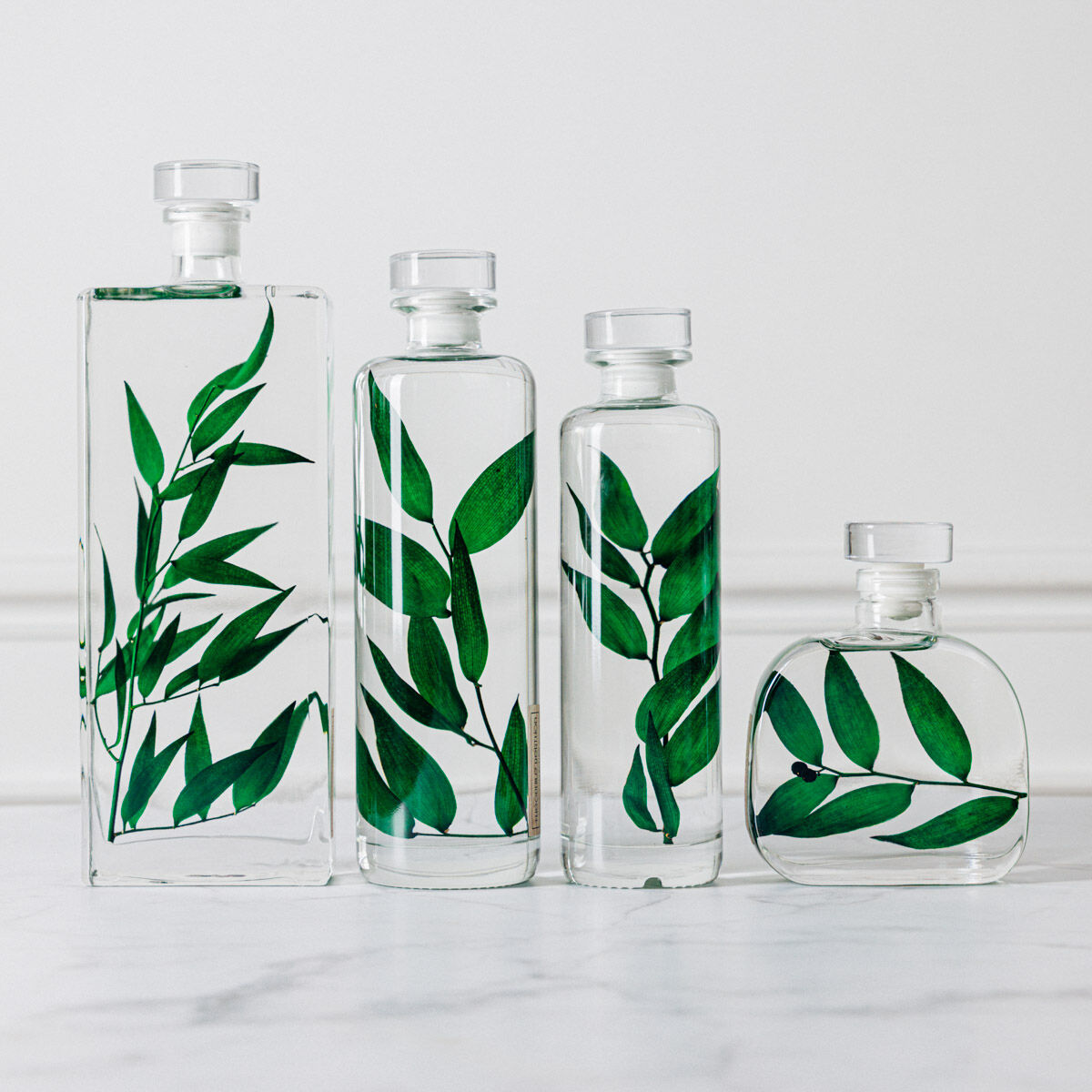 L’Herbarium de Théophile – Collection capsule – Ruscus vert – Plante immergée