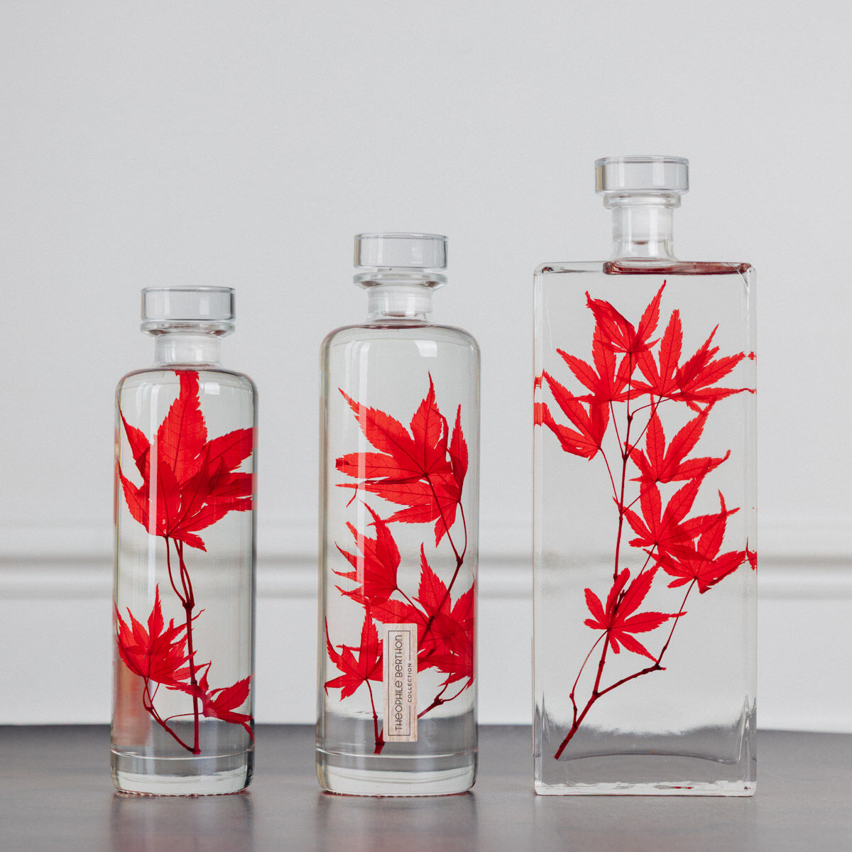 L’Herbarium de Théophile – Collection capsule – Erable rouge – Plante immergée