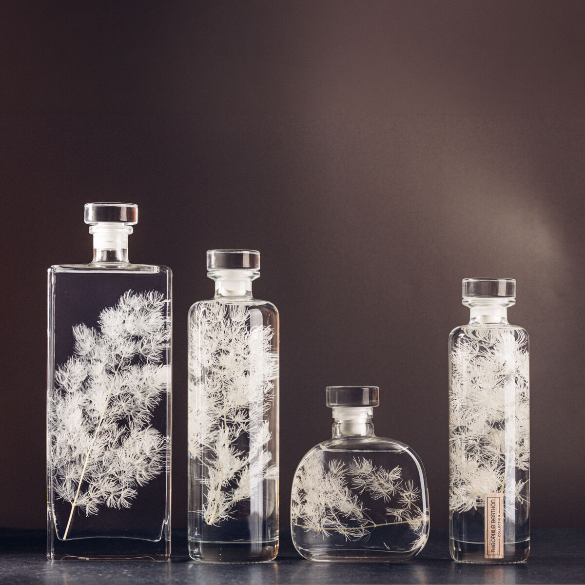 L’Herbarium de Théophile – Collection capsule – Ming fern blanc – Plante immergée