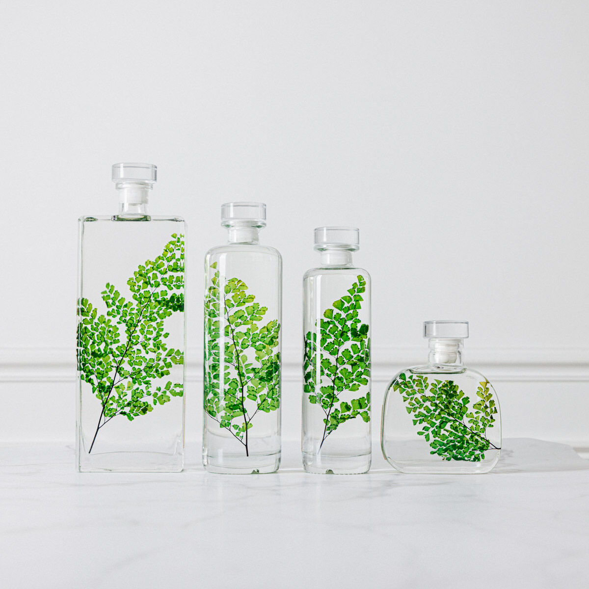 L’Herbarium de Théophile – Collection capsule – Luthi verte – Plante immergée