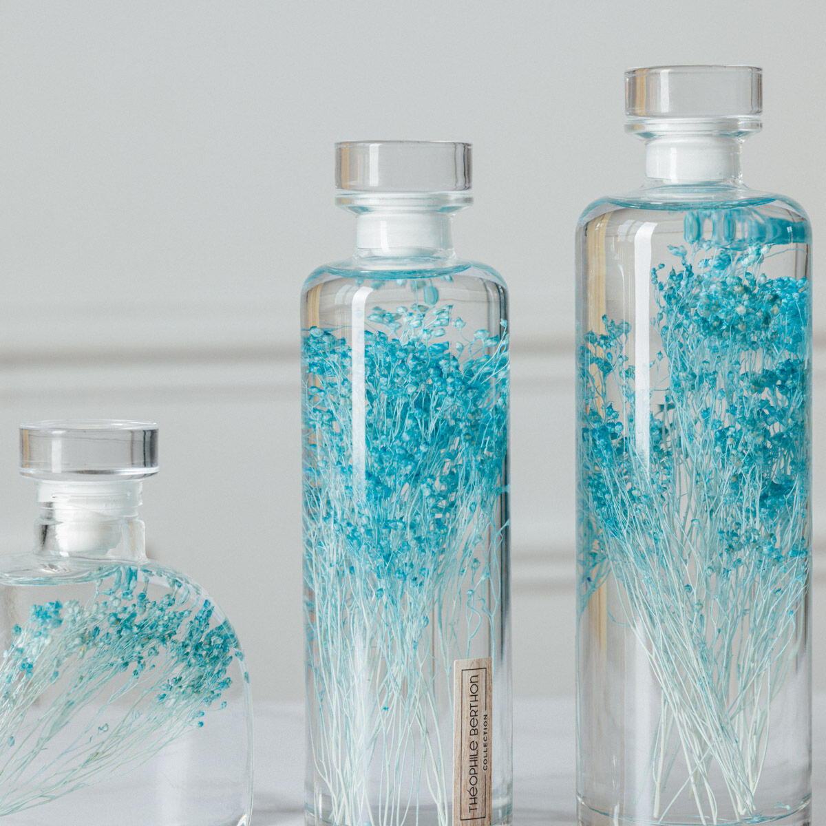 L’Herbarium de Théophile – Collection capsule – Broom bloom turquoise – Plante immergée