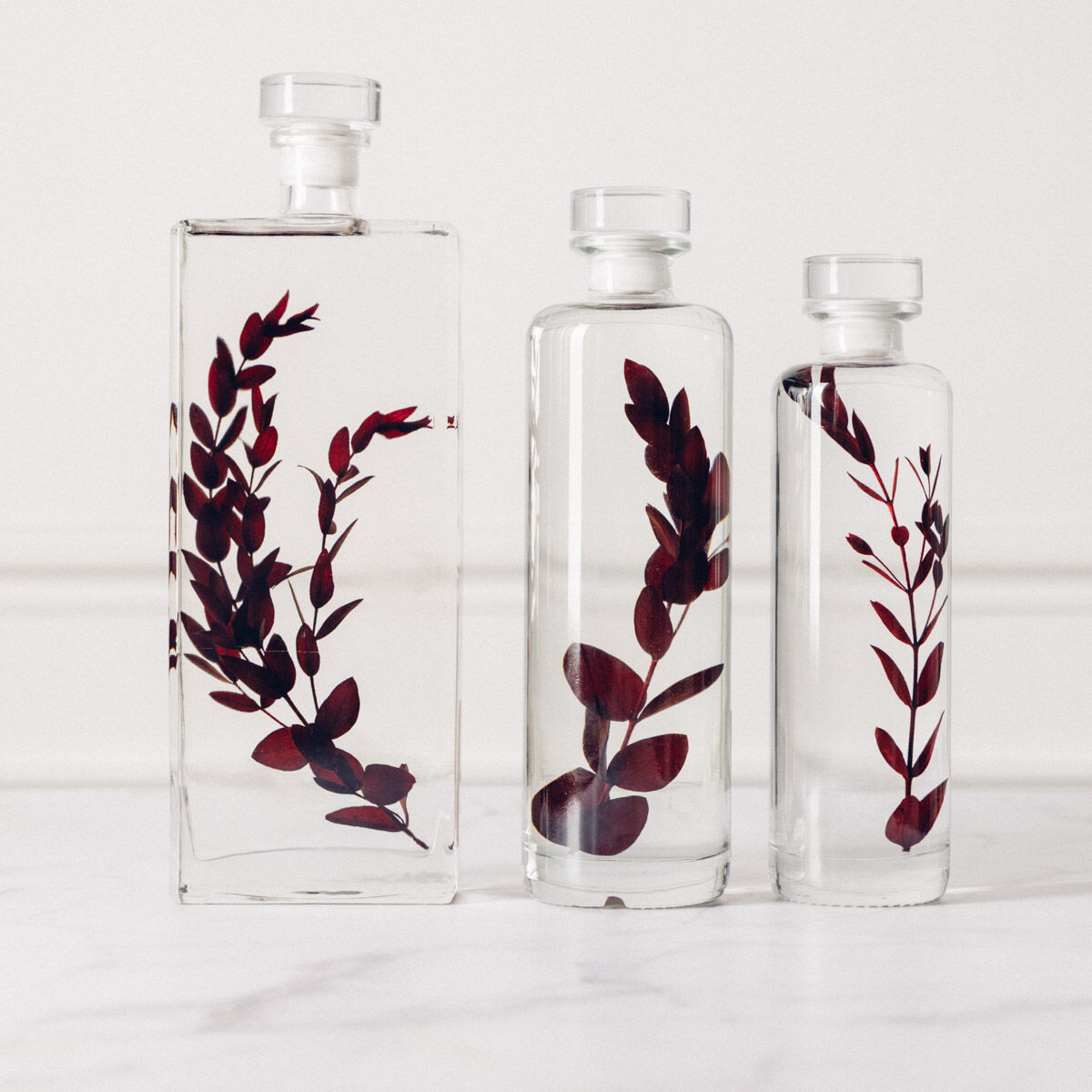 L’Herbarium de Théophile – Collection capsule – Eucalyptus parvifolia rouge – Plante immergée