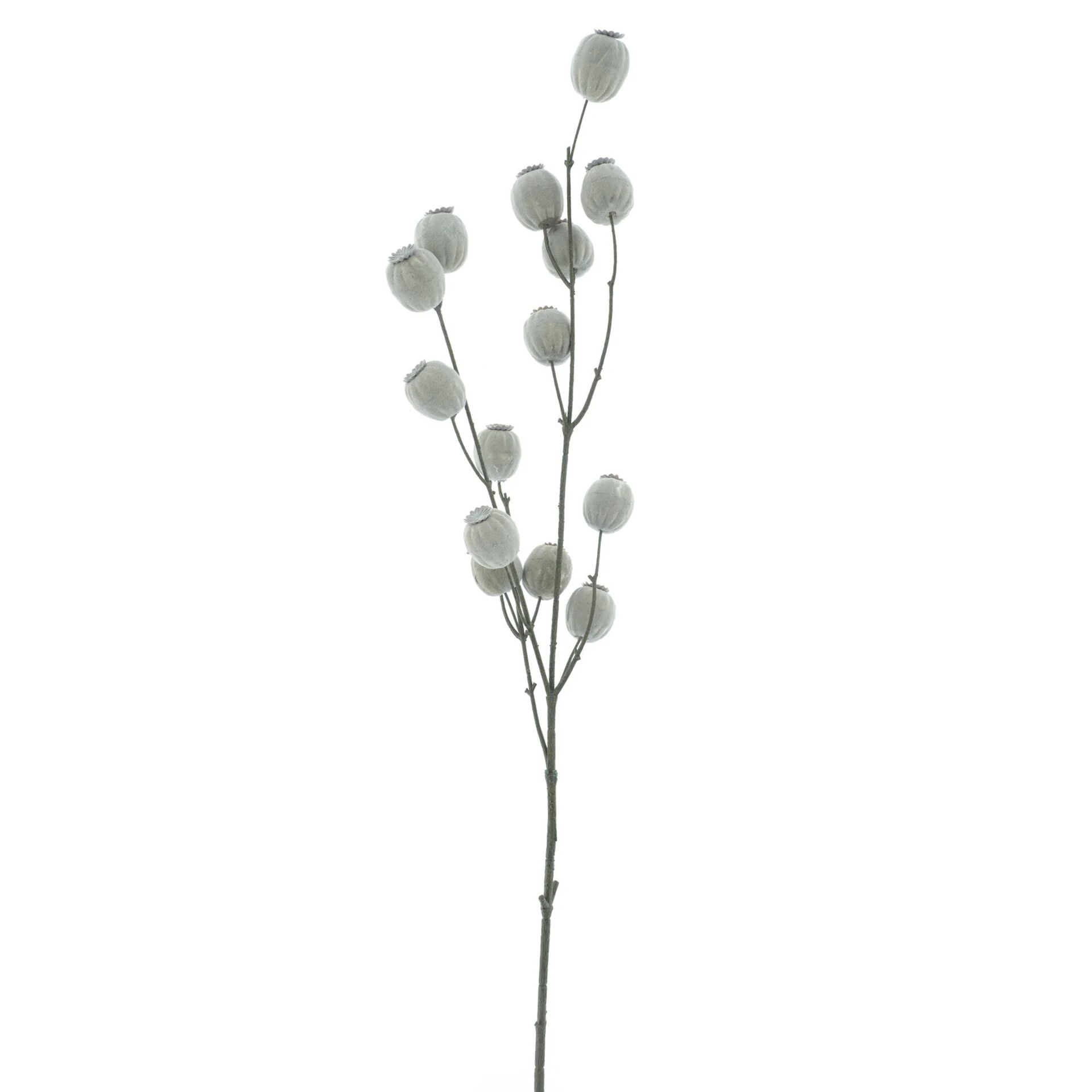 Poppy bud seed spray cream 76cm