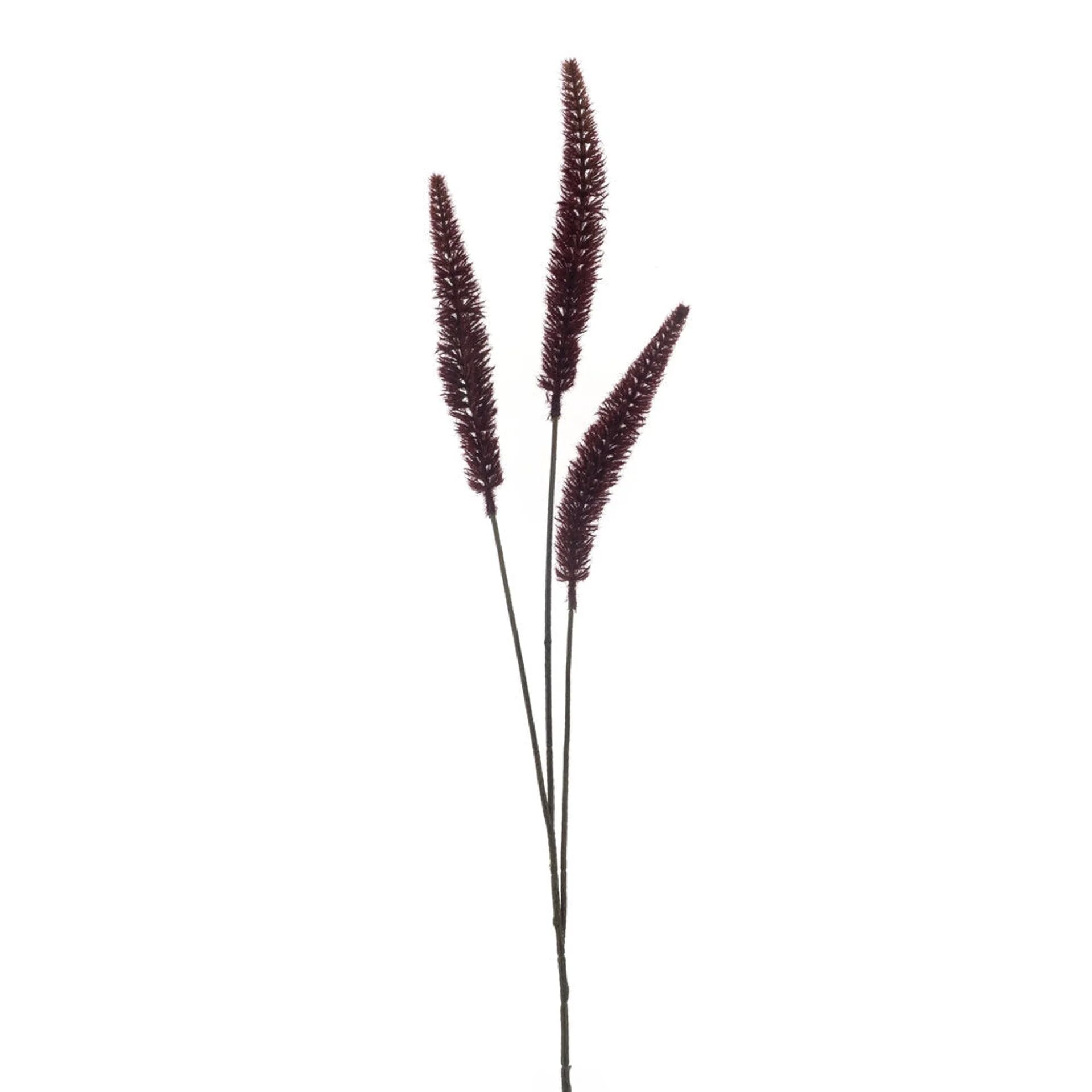 Dogtail grass spray burgundy 88cm