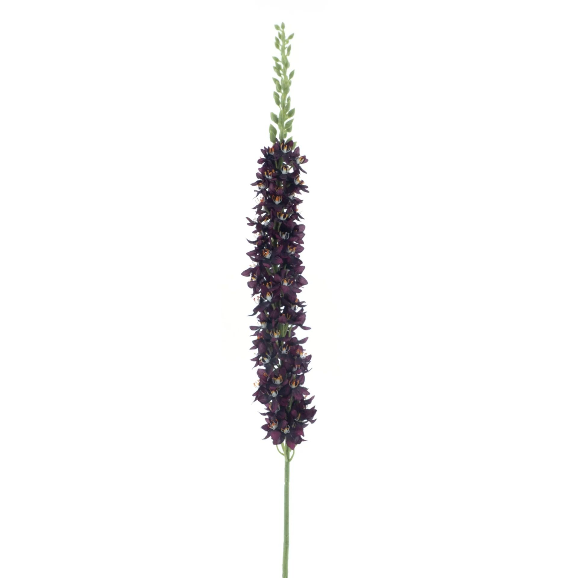 Eremurus spray Flers purple 105cm