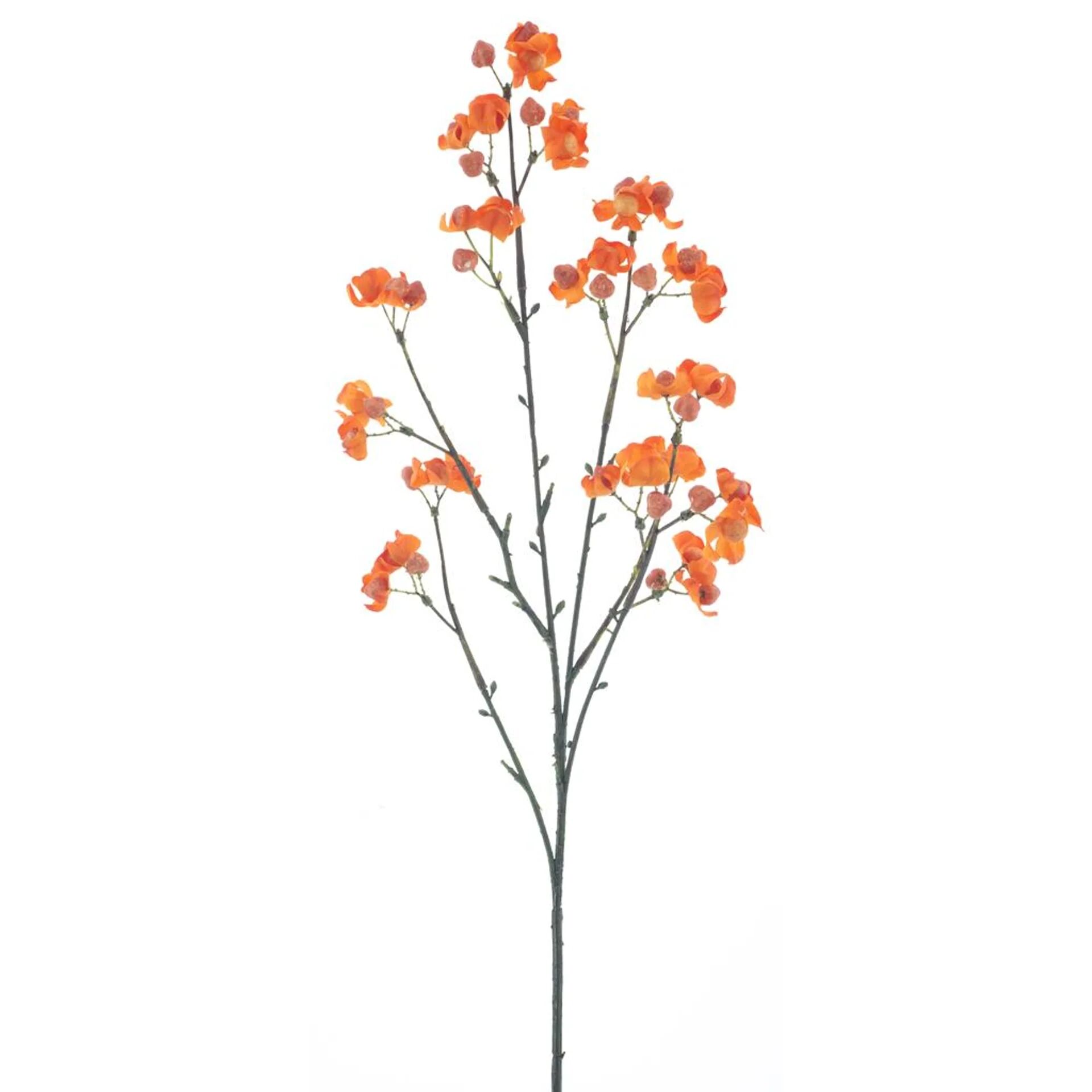 Bittersweet berry spray orange 66cm