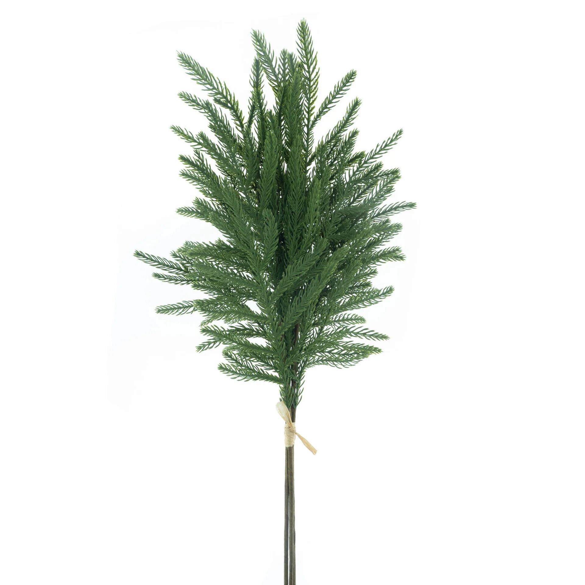 Long pine bundle Ollie green 71cm