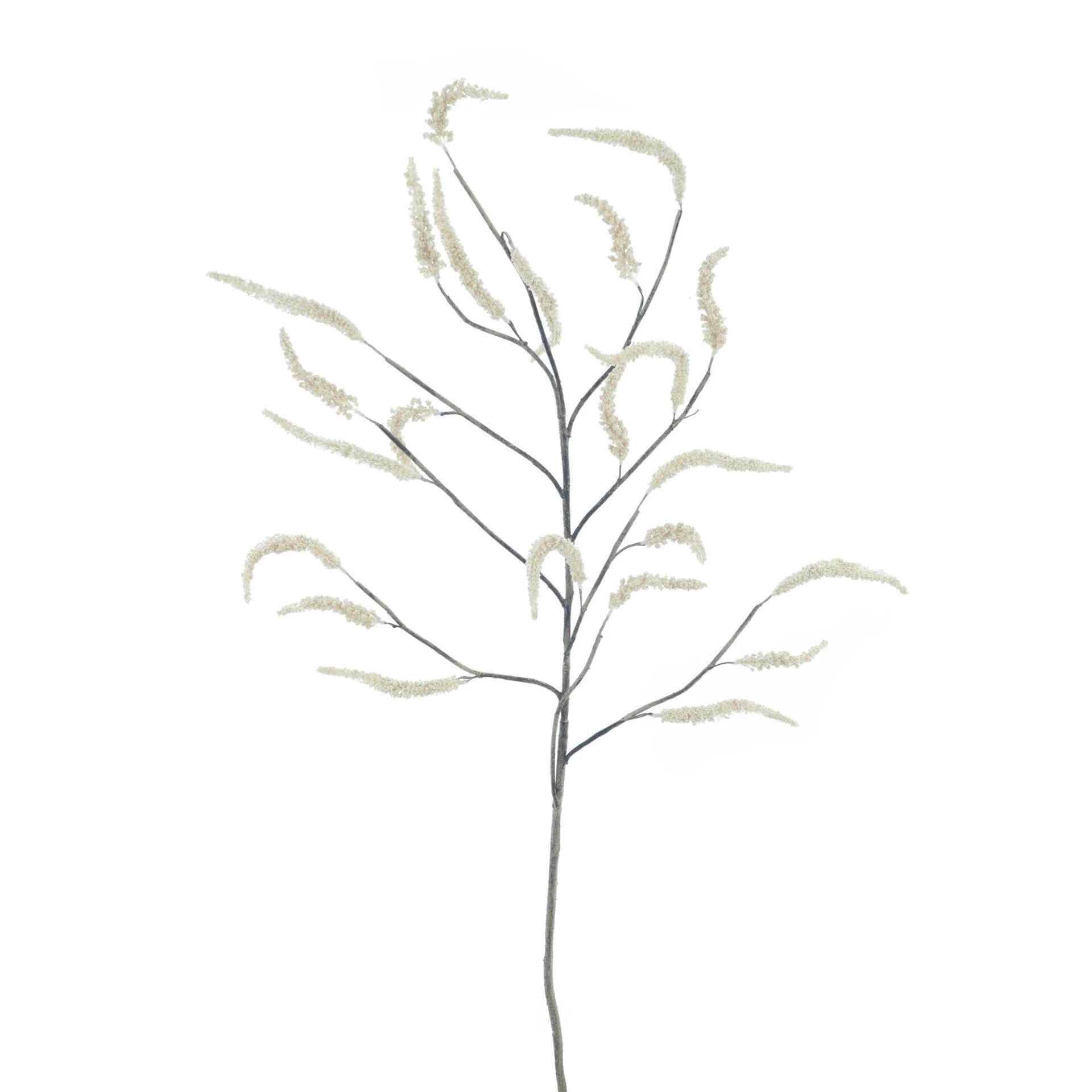 Setaria grass branch cream 125cm