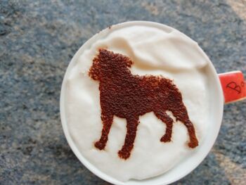 Pochoir à café Bull Terrier miniature 2