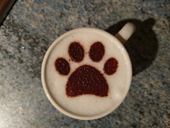 Pochoir à café Bull Terrier miniature 3