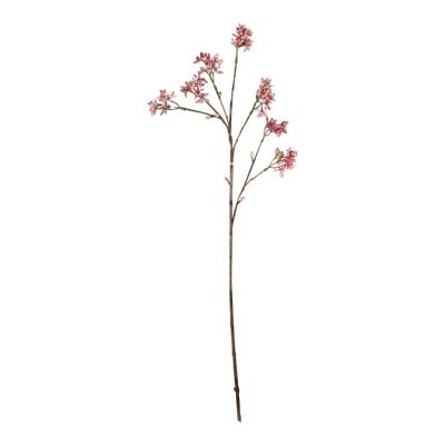 Arborescens zacht roze