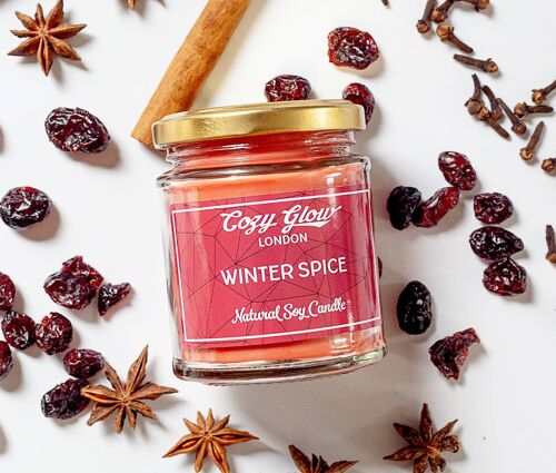 Winter Spice Large Soy Candle__default
