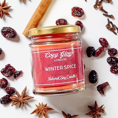 Winter Spice Large Soy Candle__default