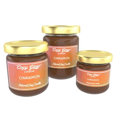 Cinnamon Regular Soy Candle