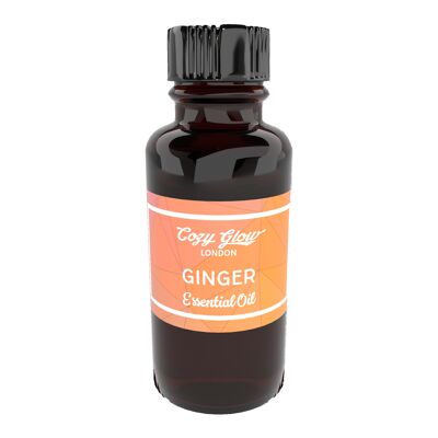 Ginger 10 ml Essential Oil__default