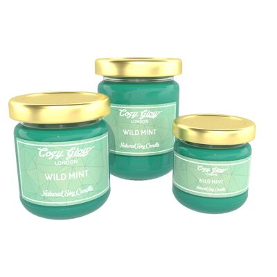 Vela de soja mini Wild Mint__default