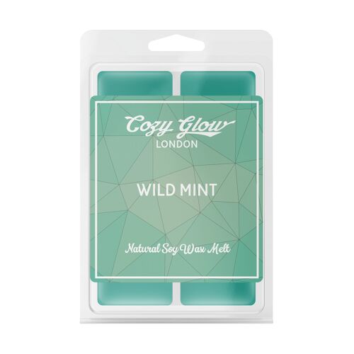 Wild Mint Soy Wax Melt__default