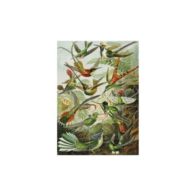 IXXI - Hummingbirds L - Wall art - Poster - Wall Decoration