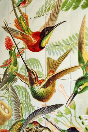 IXXI - Hummingbirds L - Wall art - Poster - Wall Decoration 3