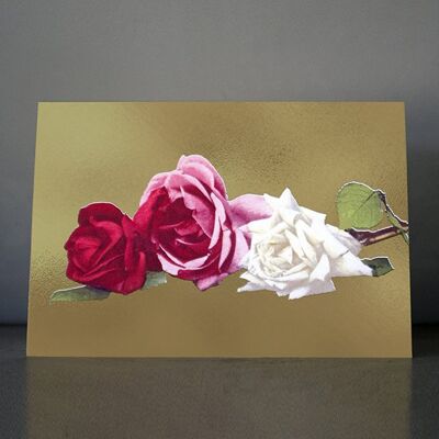 Dandy star vintage roses ii greeting card